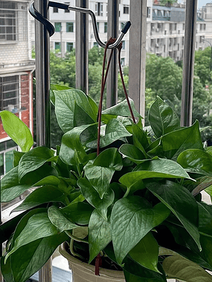 Gancho para poste de luz de camping | 1/2/3 ganchos de acero inoxidable