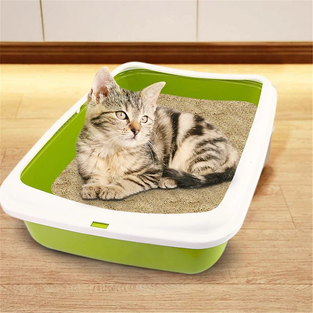 ARENERO GATO GRANDE                               