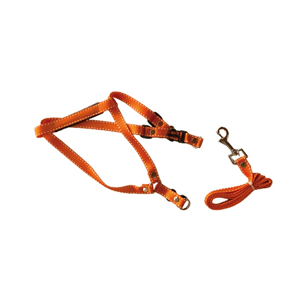 ARNES + TRAILLA  1.2 MT                           