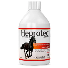 HEPROTEC EQUINO JARABE 500 ML                      