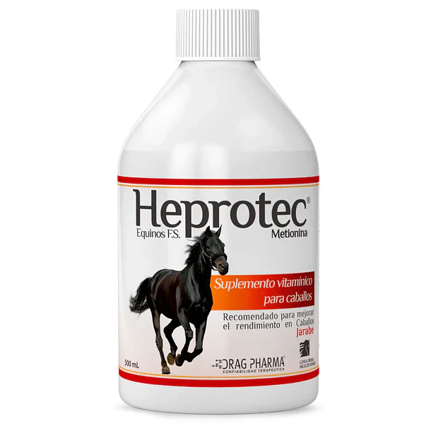 HEPROTEC EQUINO JARABE 500 ML                      