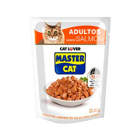 SACHET MASTER CAT SALMON                          