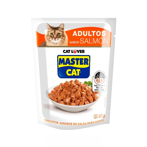 SACHET MASTER CAT SALMON                          