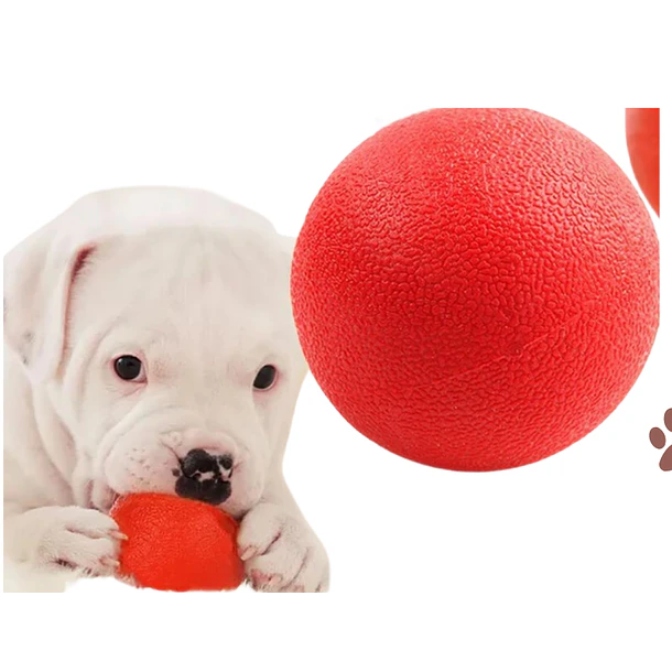 PELOTA MACIZA MEDIANA                             