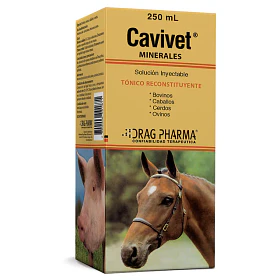 CAVIVET 250 ML                                    