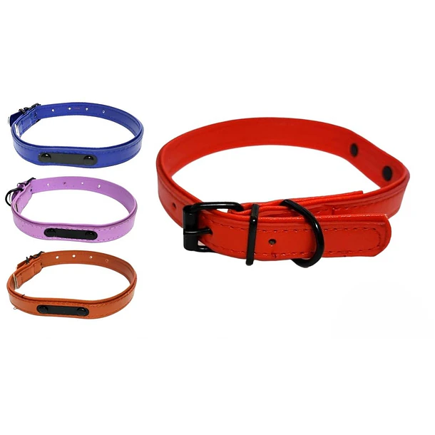 COLLAR CUERINA COLORES S                          