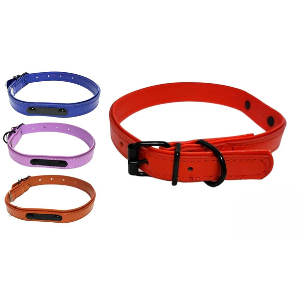 COLLAR CUERINA COLORES M                          