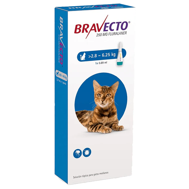 BRAVECTO GATO PIPETA 2,8 A 6,25 KG                