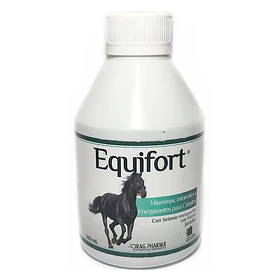 EQUIFORT JARABE X 500 ML                             
