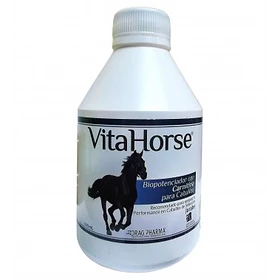 VITAHORSE JARABE X 500 ML                         