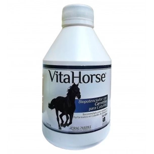 VITAHORSE JARABE X 500 ML                         