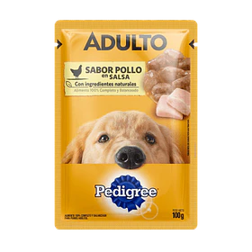 SACHET PEDIGREE ADULTO POLLO                      