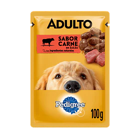 SACHET PEDIGREE ADULTO CARNE                      