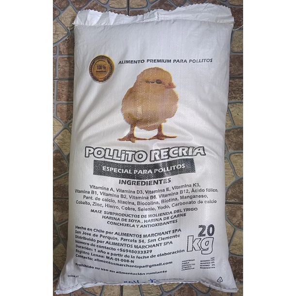 POLLITO 20 KG                                     