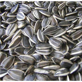 MARAVILLA GRANEL1 KG                              