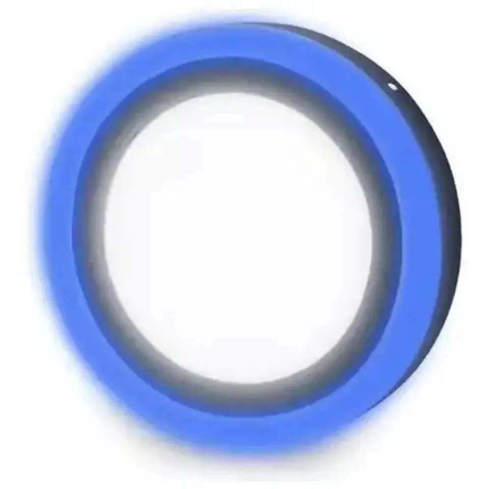 Foco LED de Plafón Bicolor 18W 1
