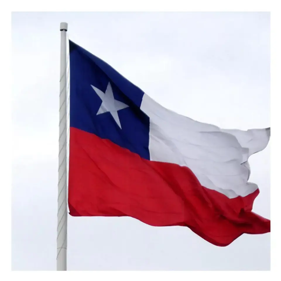 Bandera Chilena 90x150 Cm Fechas Patrias 1