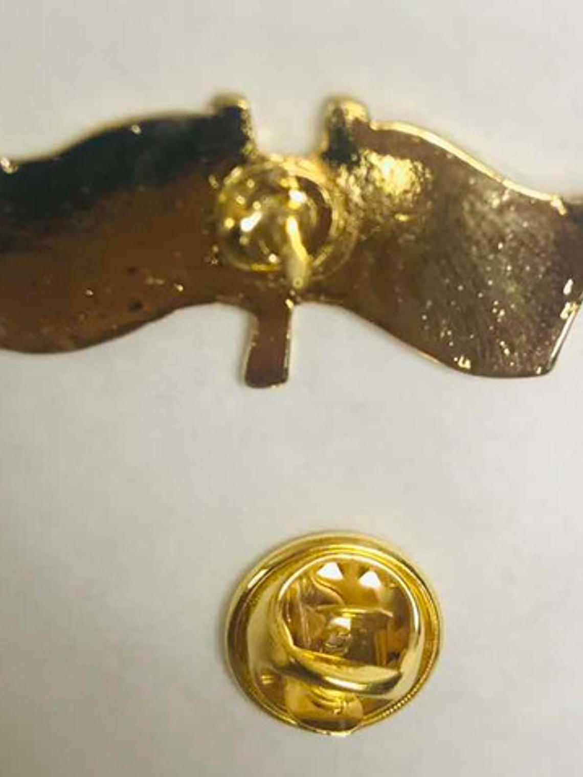 Pin Bandera Chile Y Mexico Entrelazadas (chile Mexico) 5