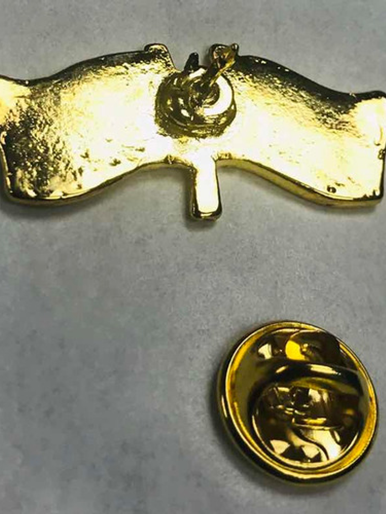 Pin Bandera Chile Y Mexico Entrelazadas (chile Mexico) 8