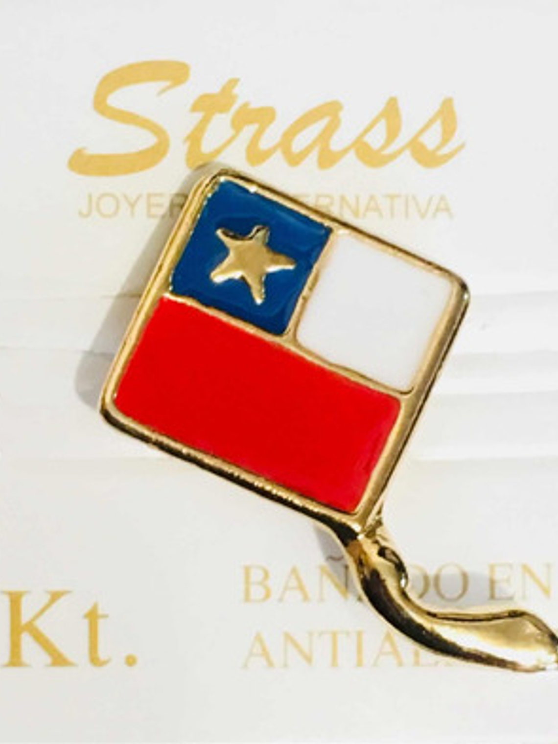 Pines Chilenos Banderas Escudos Copihues Condor Volantin 1