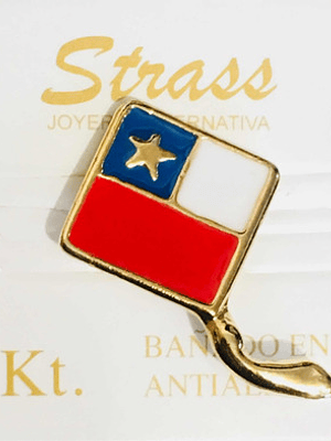 Pines Chilenos Banderas Escudos Copihues Condor Volantin