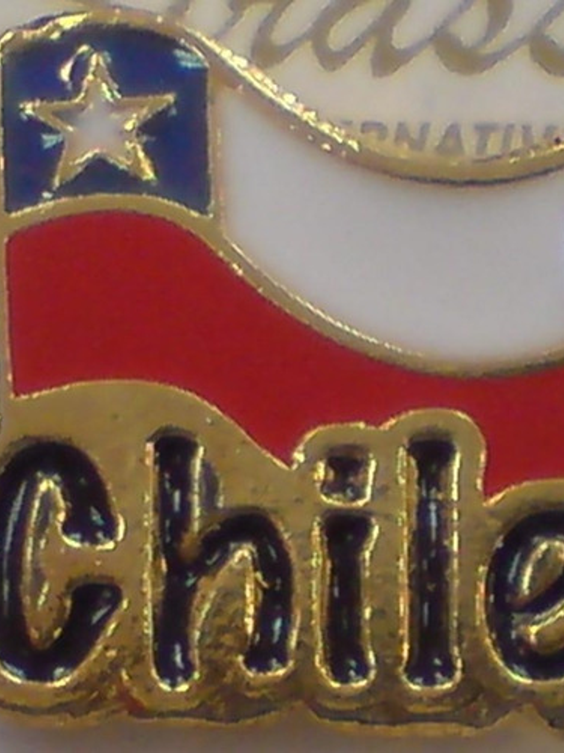 Pines Chilenos Banderas Escudos Copihues Condor Volantin 2