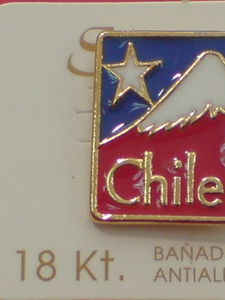 Pines Chilenos Banderas Escudos Copihues Condor Volantin 3