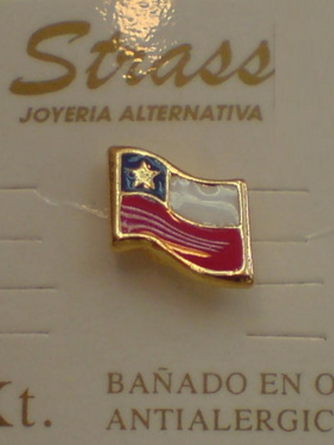 Pines Chilenos Banderas Escudos Copihues Condor Volantin 4