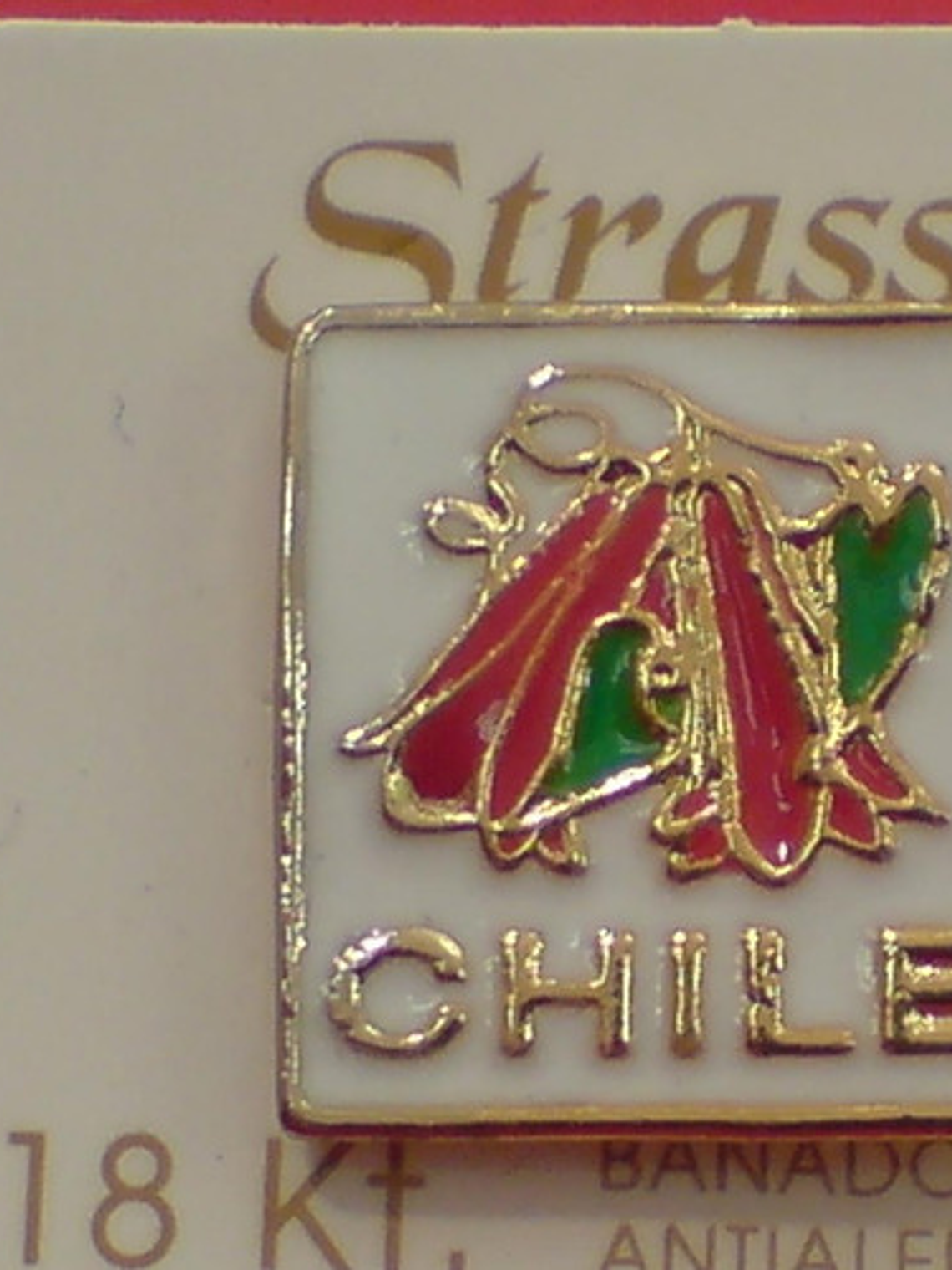 Pines Chilenos Banderas Escudos Copihues Condor Volantin 5