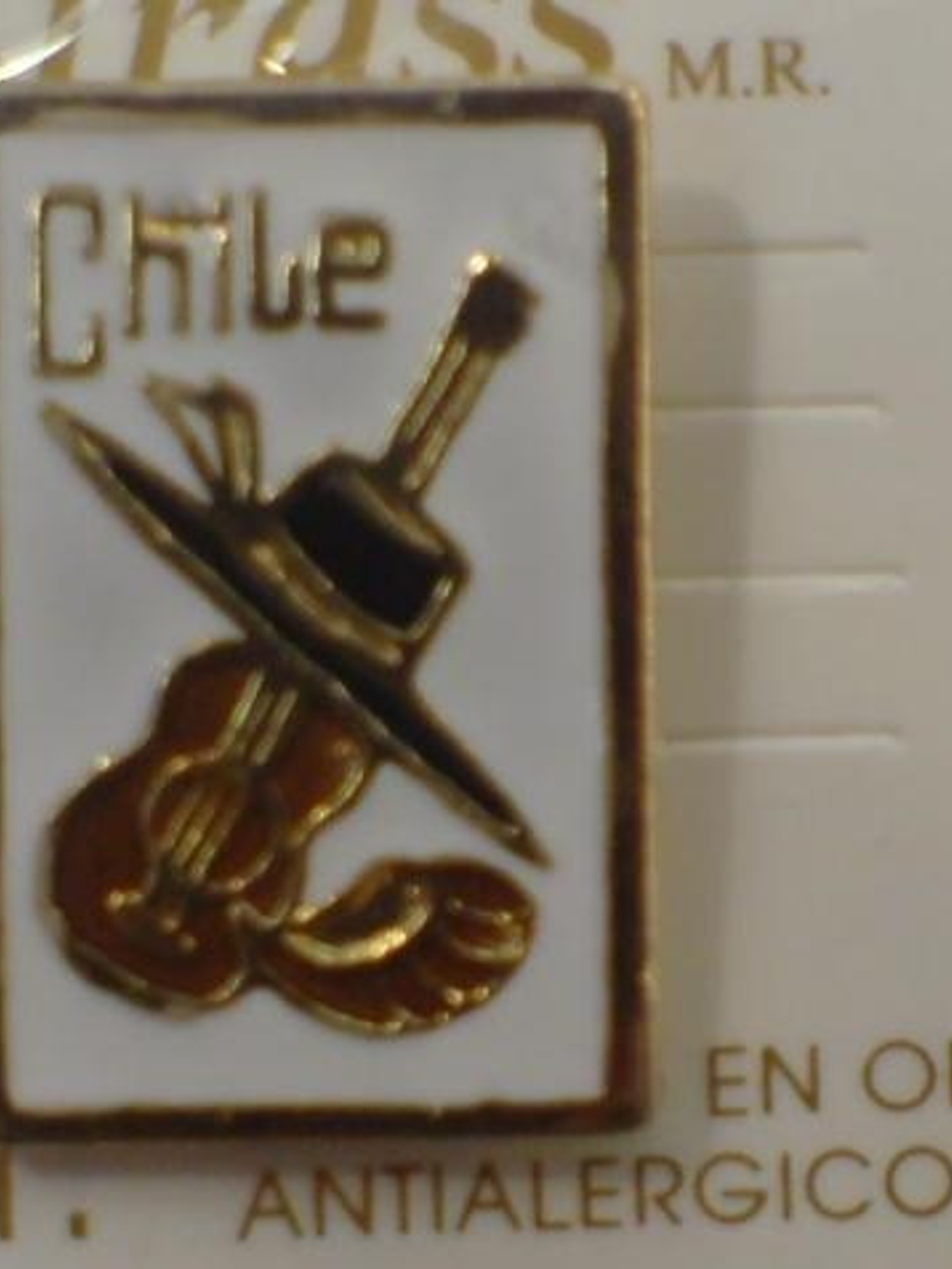 Pines Chilenos Banderas Escudos Copihues Condor Volantin 6