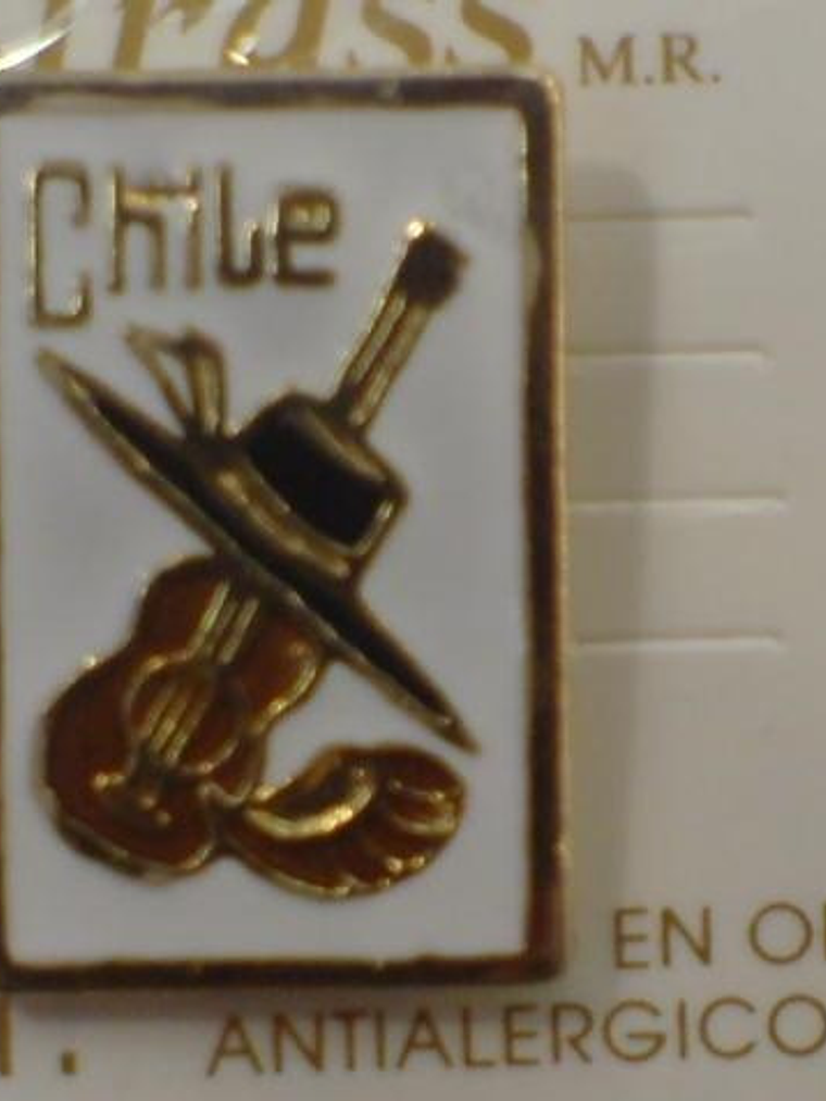 Pines Chilenos Banderas Escudos Copihues Condor Volantin 6