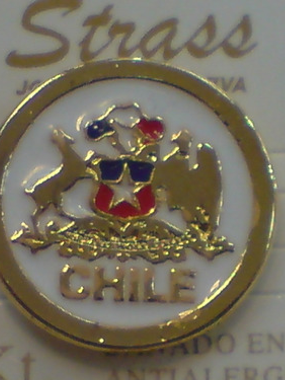 Pines Chilenos Banderas Escudos Copihues Condor Volantin 7