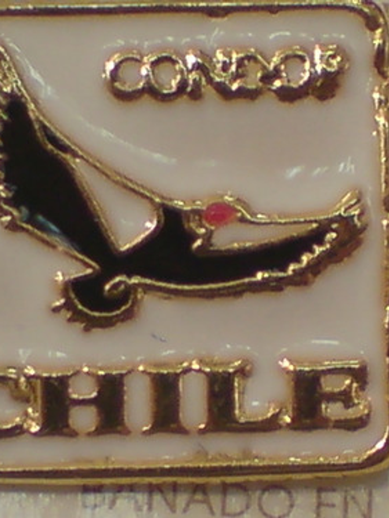 Pines Chilenos Banderas Escudos Copihues Condor Volantin 8