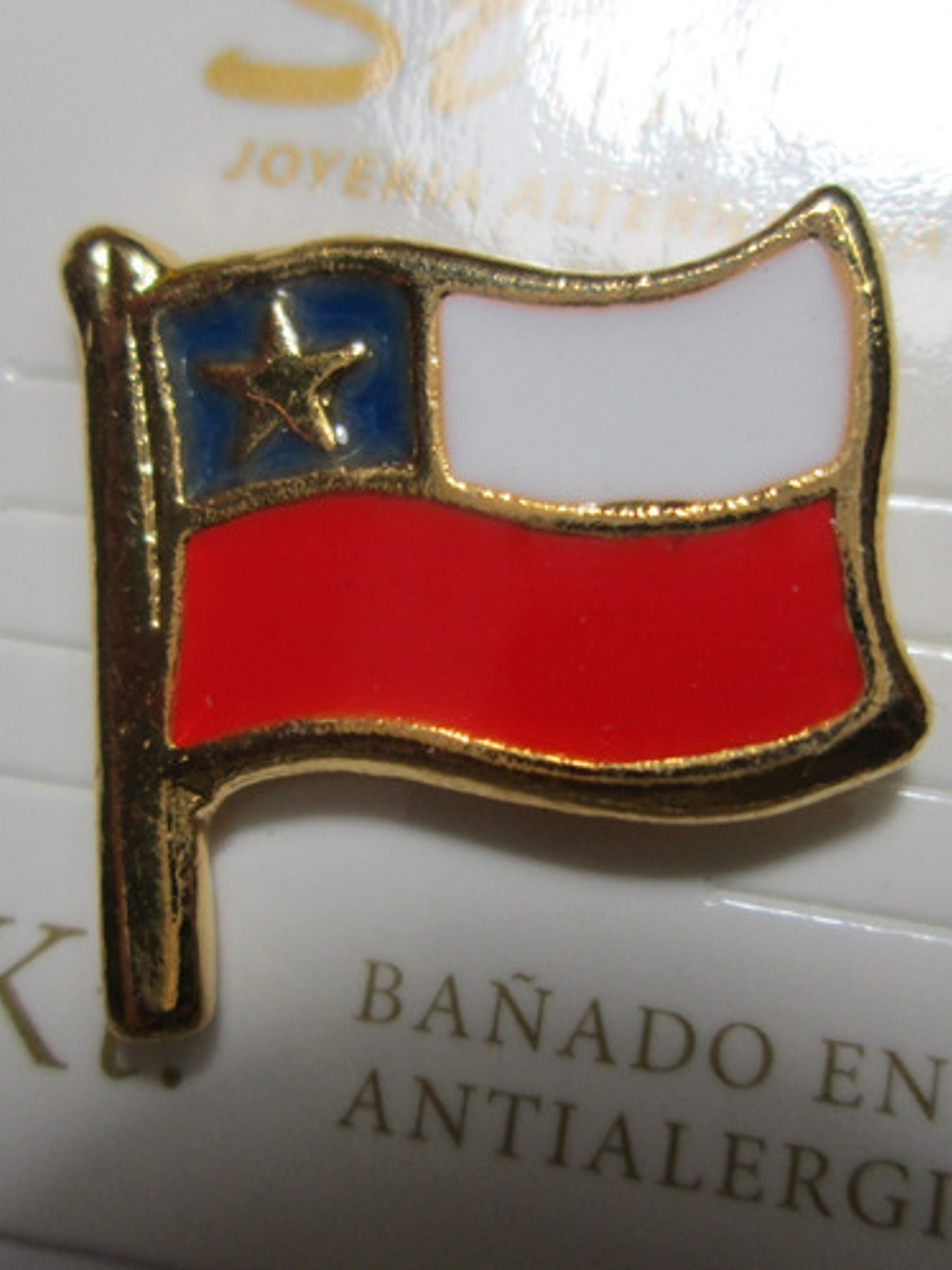 Pines Chilenos Banderas Escudos Copihues Condor Volantin 9