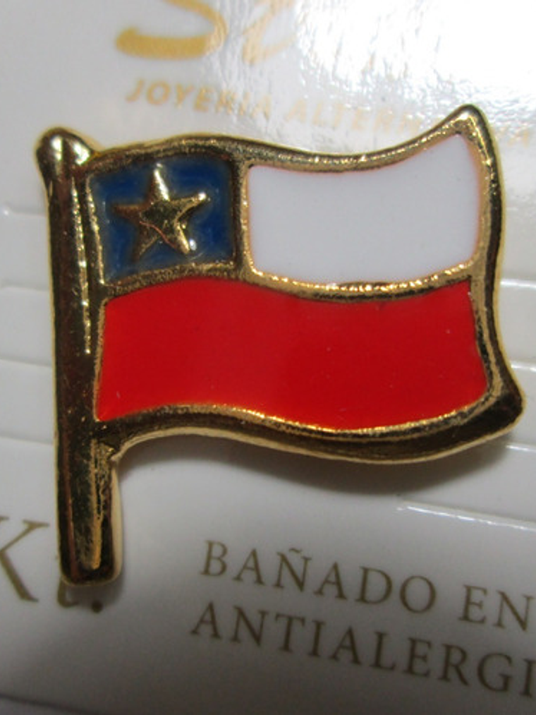 Pines Chilenos Banderas Escudos Copihues Condor Volantin 9