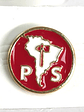 Pins Partido Socialista Diferentes, Partido Y Juventud Ps Js - Miniatura 2