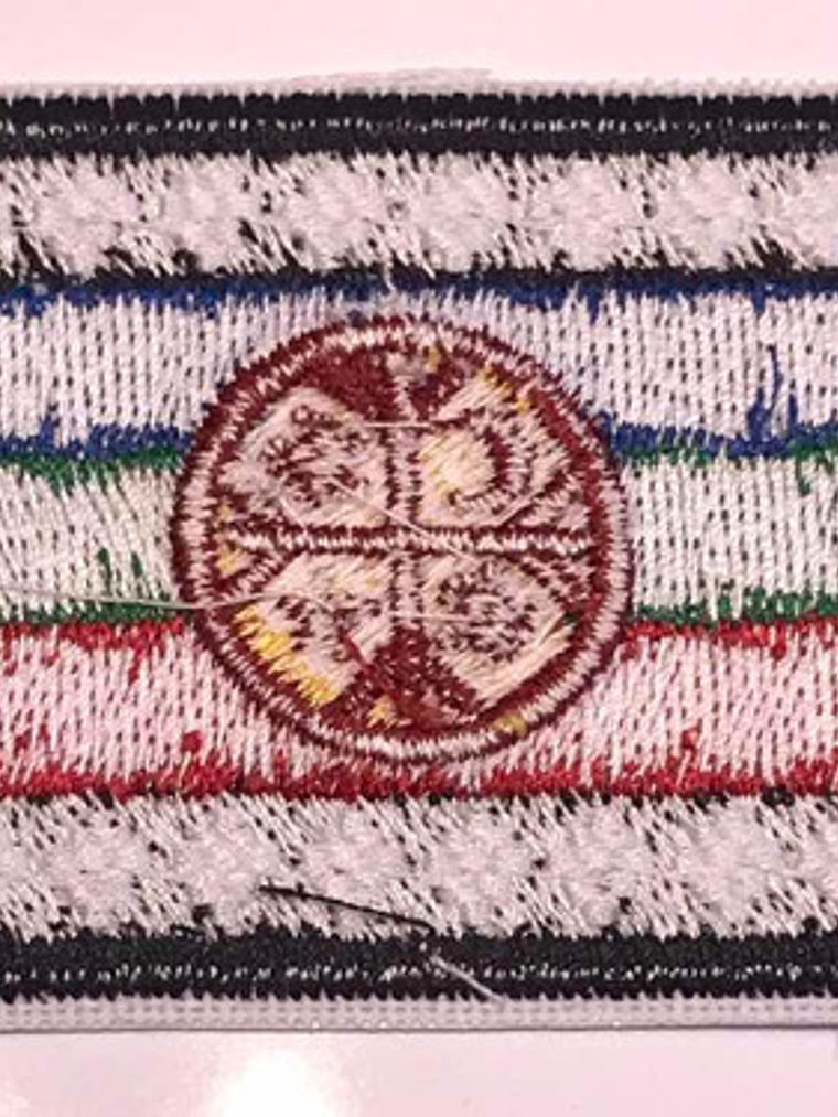 Parche Bandera Mapuche 2