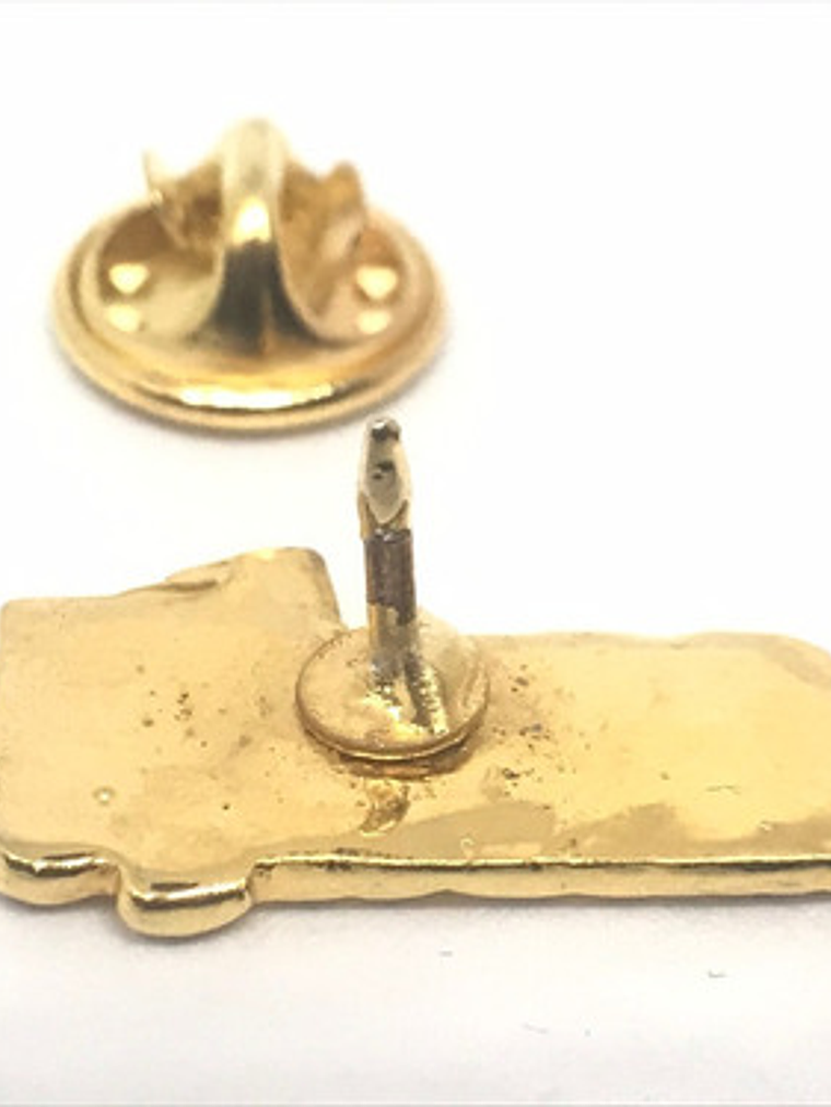 Pinsan Felipe Chile (4124) 2