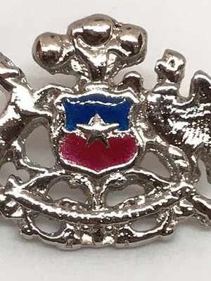 Pin Escudo Nacional De Chile Plateado Contorno  3d