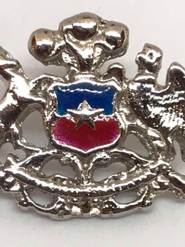 Pin Escudo Nacional De Chile Plateado Contorno  3d 1