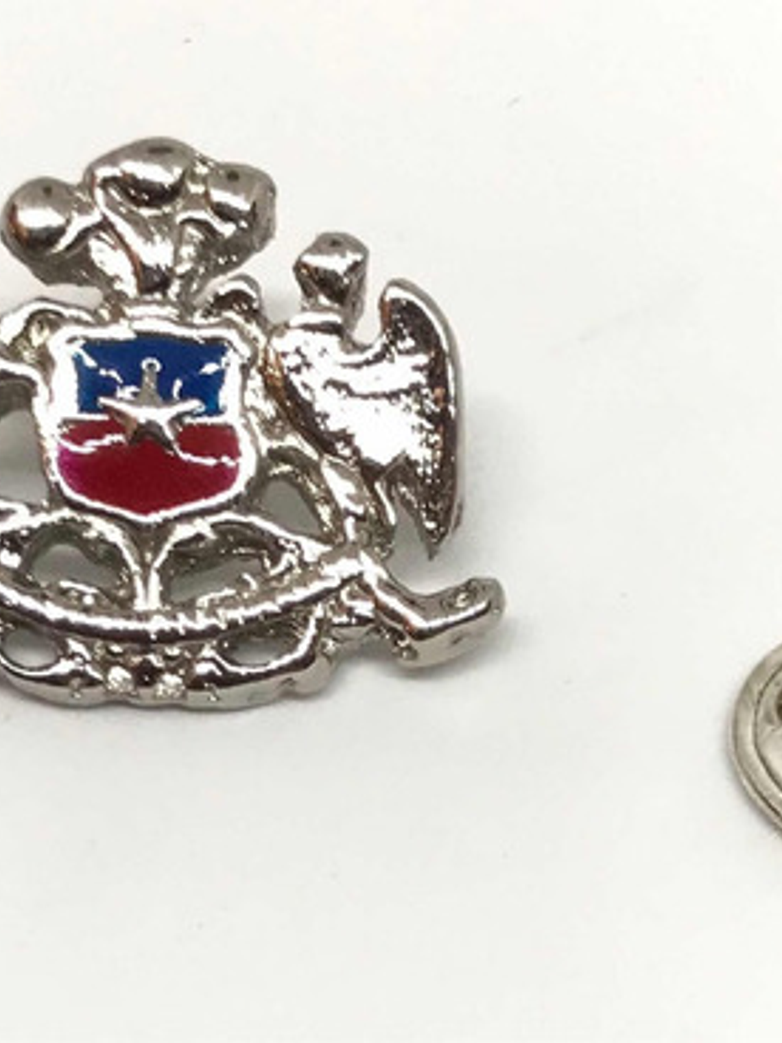Pin Escudo Nacional De Chile Plateado Contorno  3d 5
