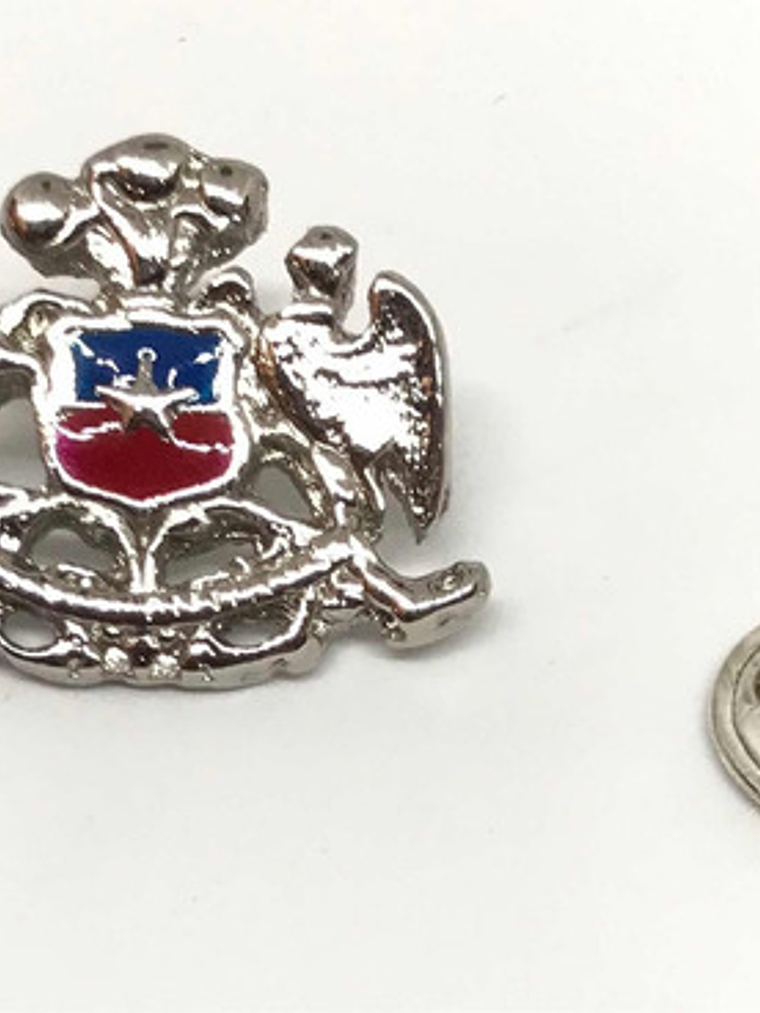 Pin Escudo Nacional De Chile Plateado Contorno  3d 5