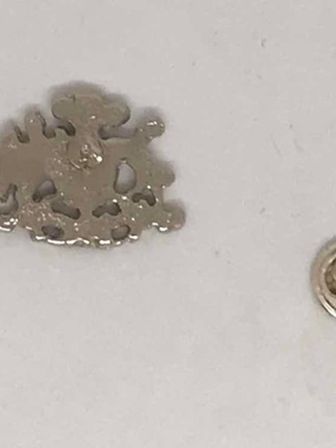 Pin Escudo Nacional De Chile Plateado Contorno  3d 6