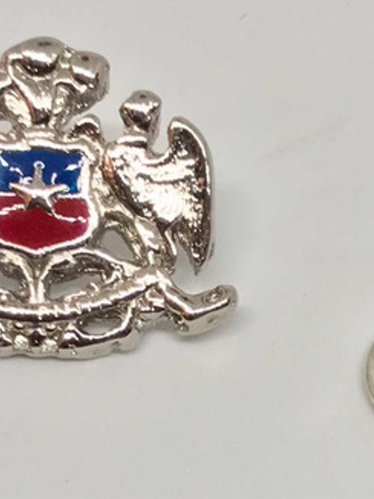 Pin Escudo Nacional De Chile Plateado Contorno  3d 7
