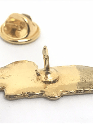 Pin Concepción Chile (4114)