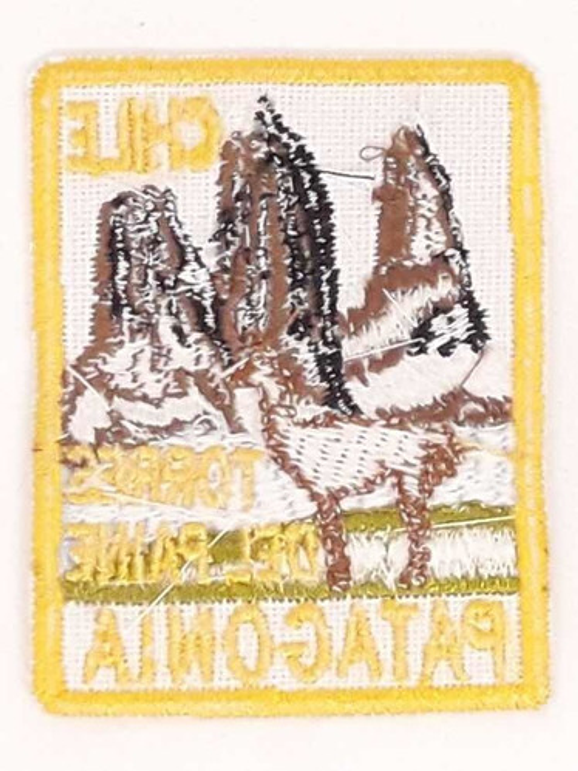 Parche Torres Del Paine (patagonia Chile) Guanaco Rectangul  2