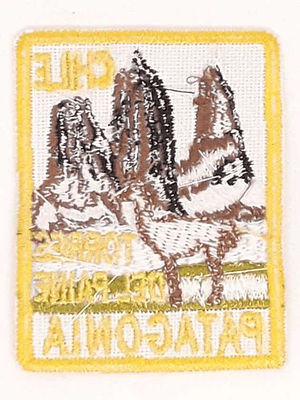 Parche Torres Del Paine (patagonia Chile) Guanaco Rectangul 