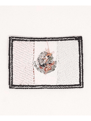 Parche Bandera Mexico 