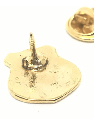 Pin San Luis De Quillota