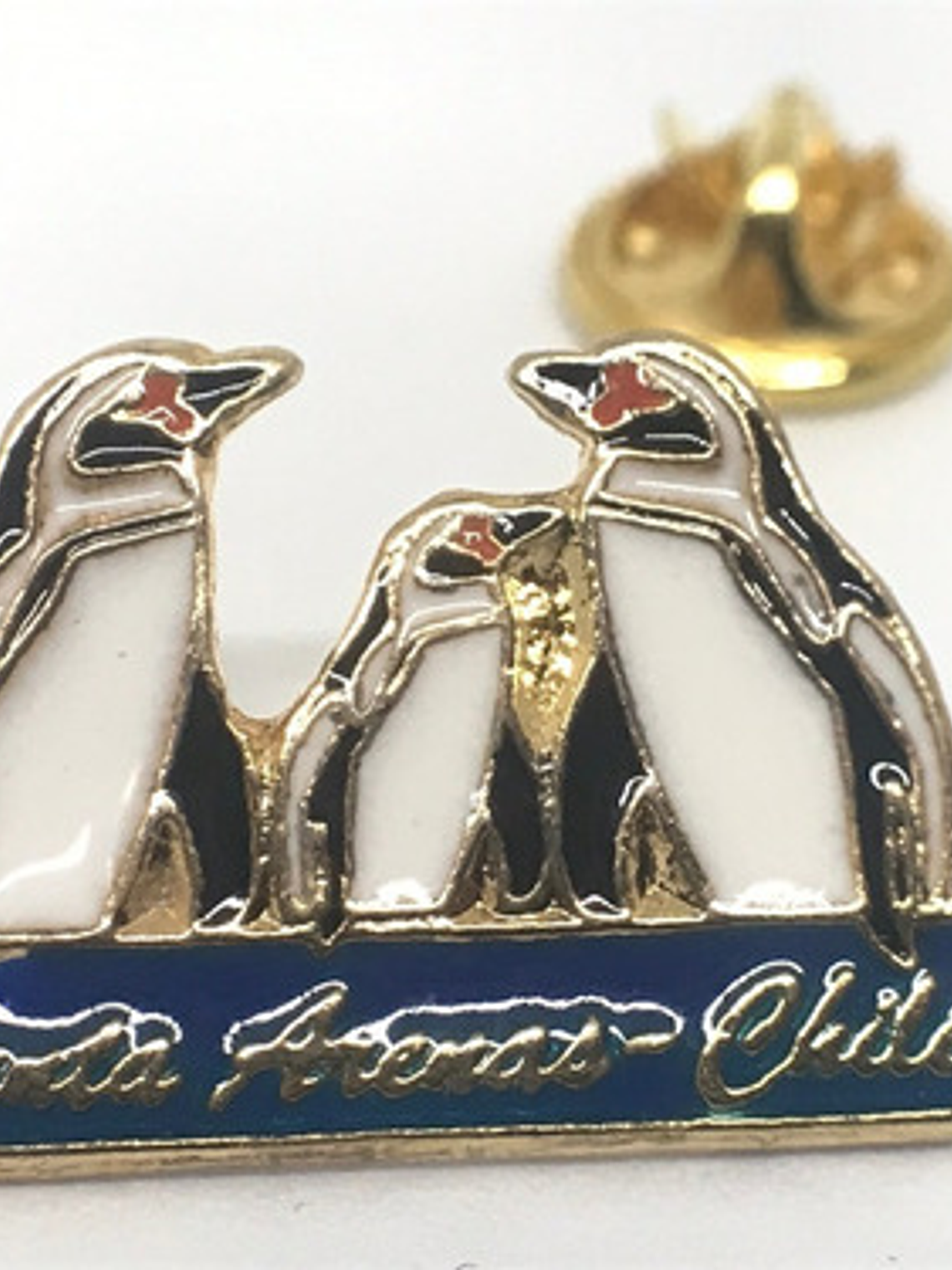Pin Pingüinos Punta Arenas Chile  1